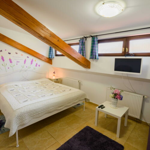 1-Room Apartment for 2 Persons