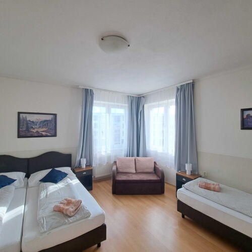 Camera tripla cu duș cu chicinetă proprie (se poate solicita pat suplimentar)