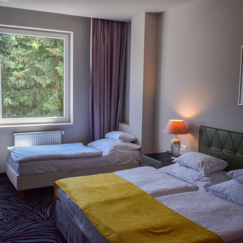 Komfort Pokoj se sprchou pro 3 os.