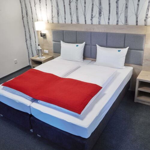 Twin Room with Shower (extra bed available)