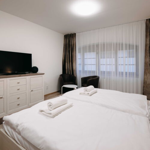 Pokoj se sprchou  pro 3 os.