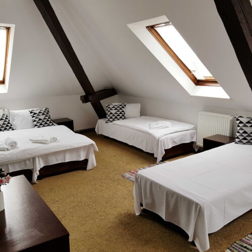 Camera cvadrupla cu duș (se poate solicita pat suplimentar)