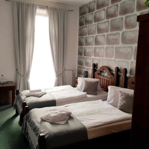 Camera twin cu duș (se poate solicita pat suplimentar)