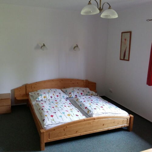 Camera dubla cu duș cu vedere spre grădină (se poate solicita pat suplimentar)