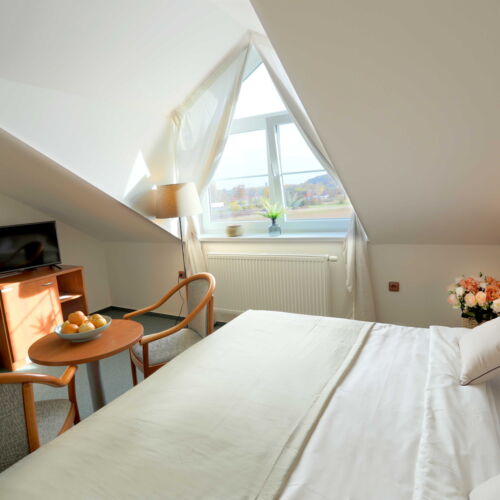 Standard Pokoj s koupelnou s manželskou postelí