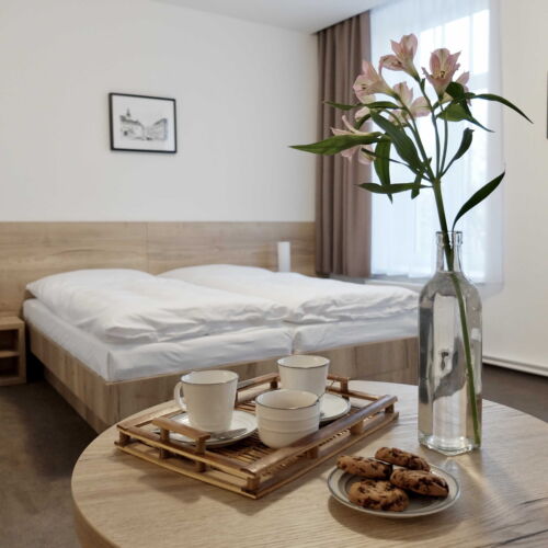 Camera twin standard cu duș