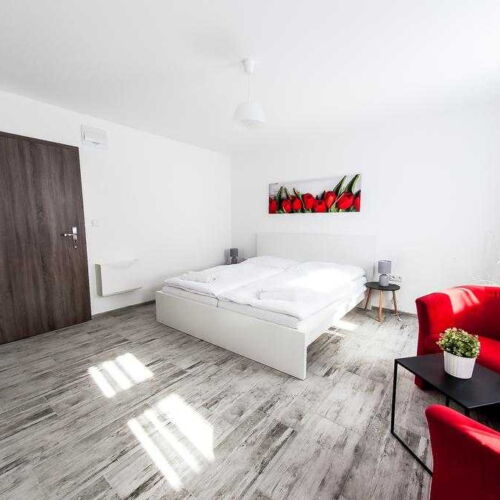 Pokoj se sprchou  s manželskou postelí (s možností přistýlky)