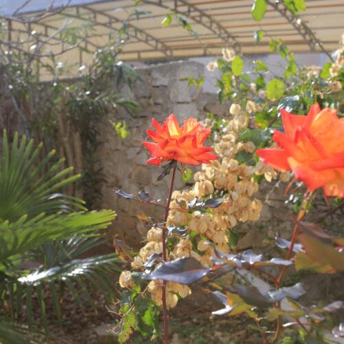 Apartman s klimatizací s terasou pro 6 os. se 2 ložnicemi A-16345-b