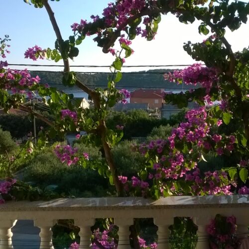 Apartament cu aer condiționat cu vedere spre mare cu 1 camera pentru 2 pers. A-17620-c