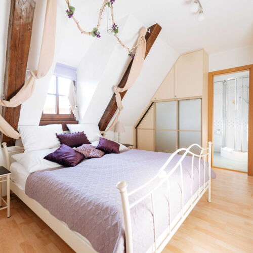 Pokoj se sprchou s manželskou postelí v podkroví