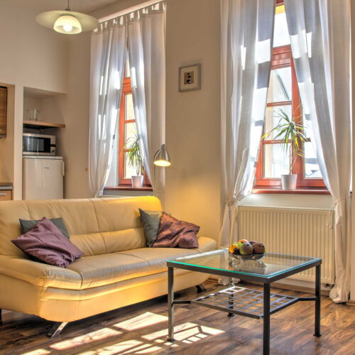 Apartament cu baie cu chicinetă proprie cu 1 camera pentru 2 pers.