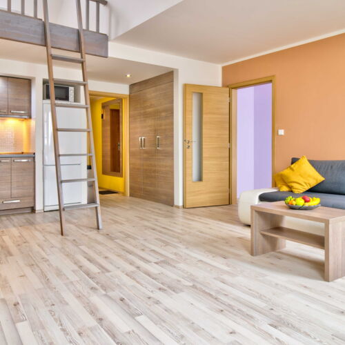 Apartament cu cadă mezonet cu 1 camera pentru 2 pers. (se poate solicita pat suplimentar)