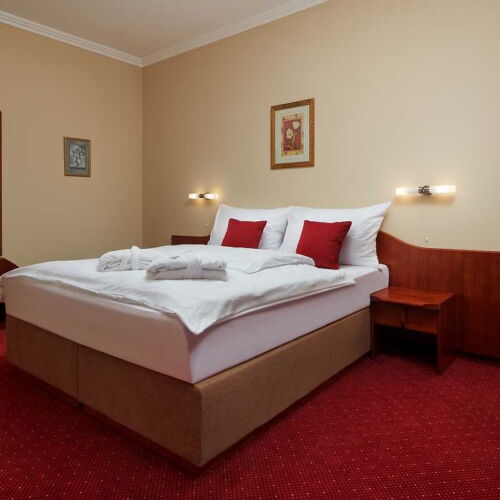 Deluxe Apartman se sprchou pro 2 os. (s možností přistýlky)