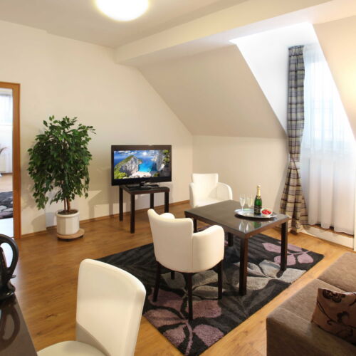 Deluxe  Apartman s manželskou postelí s 1 ložnicí (s možností přistýlky)