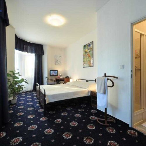 Camera twin cu duș cu aer condiționat (se poate solicita pat suplimentar)