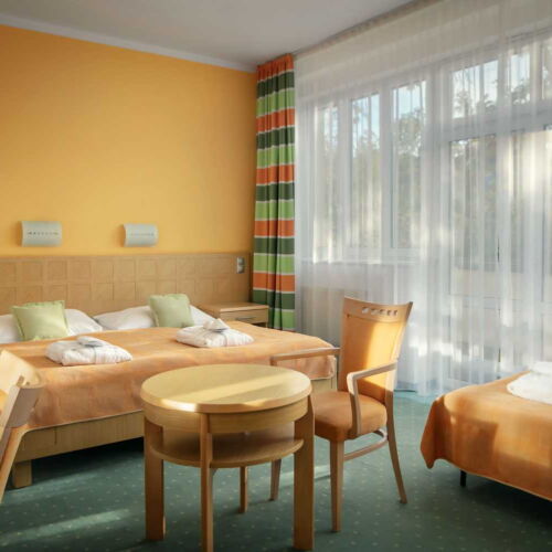 Pokoj se sprchou  pro 3 os.