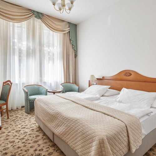 Camera dubla standard cu duș