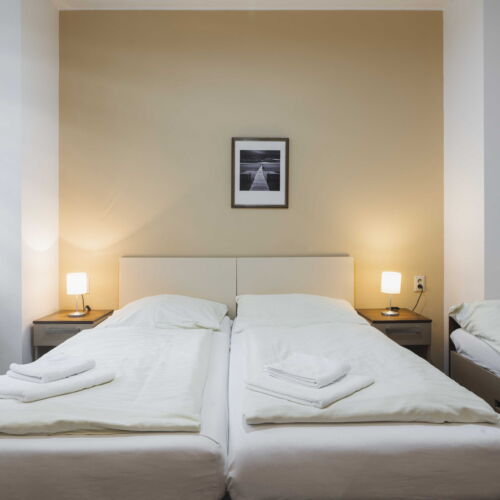 Standard Pokoj se sprchou pro 3 os.