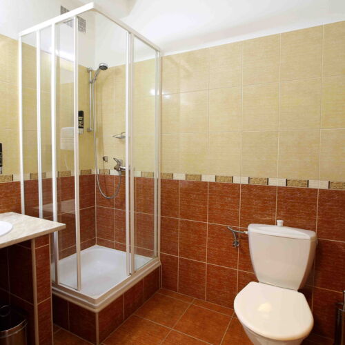 Pokoj se sprchou  pro 2 os.