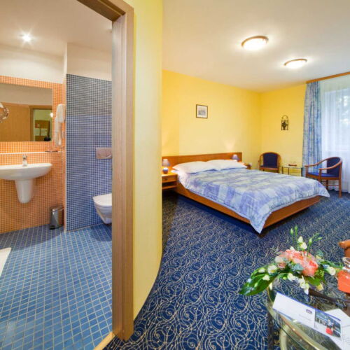 Pokoj se sprchou  pro 2 os.