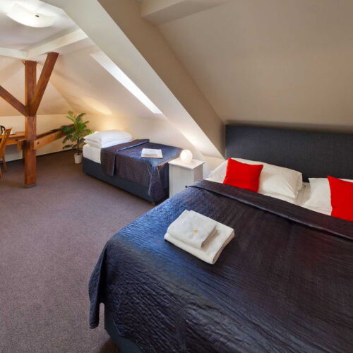 Pokoj se sprchou  pro 3 os.