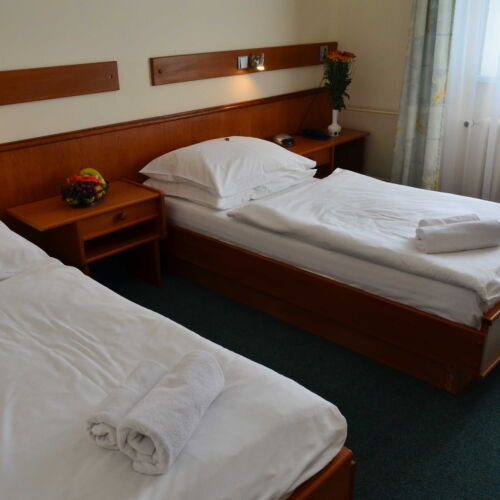 Twin Pokoj se sprchou pro 2 os.