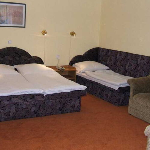 Pokój 2-osobowy z prysznicem (możliwa dostawka)