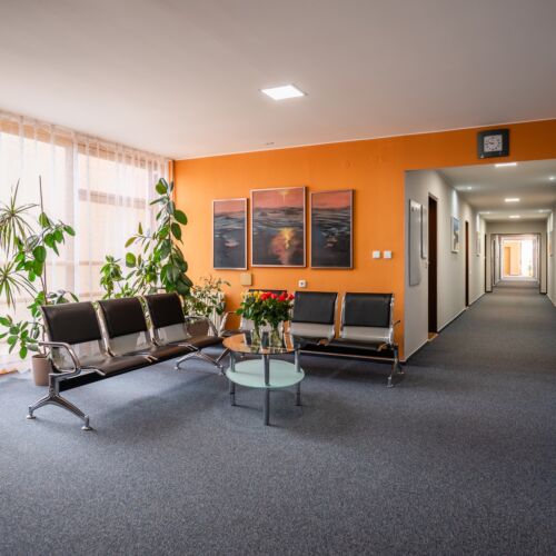 Camera tripla cu duș