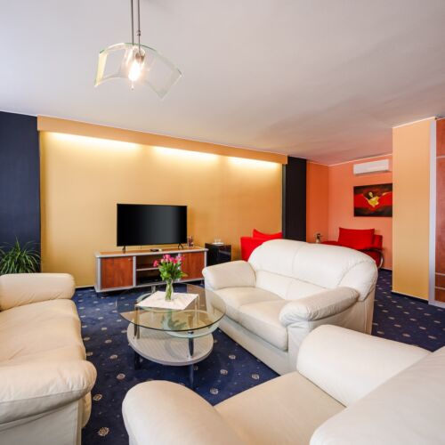 Apartament cu 1 camera pentru 2 pers.