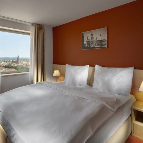 Pokój 1-osobowy Standard z klimatyzacją