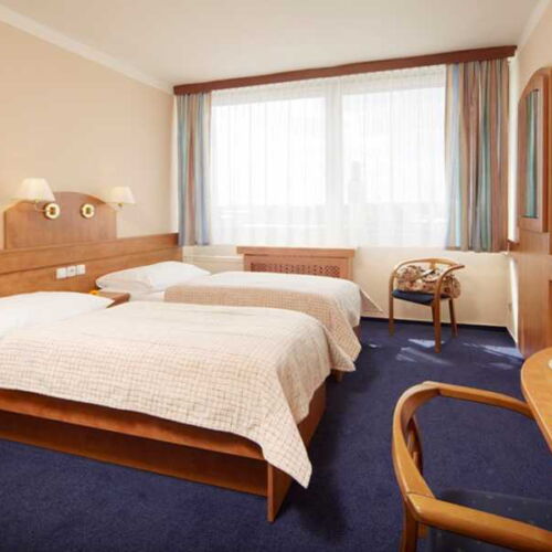 Camera tripla cu duș