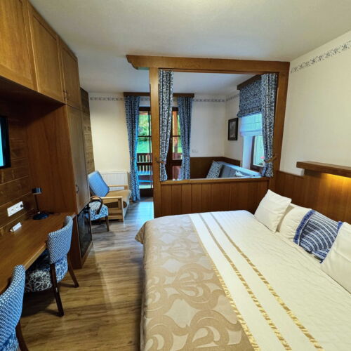 Twin Room with Shower and Terrace (extra beds available)