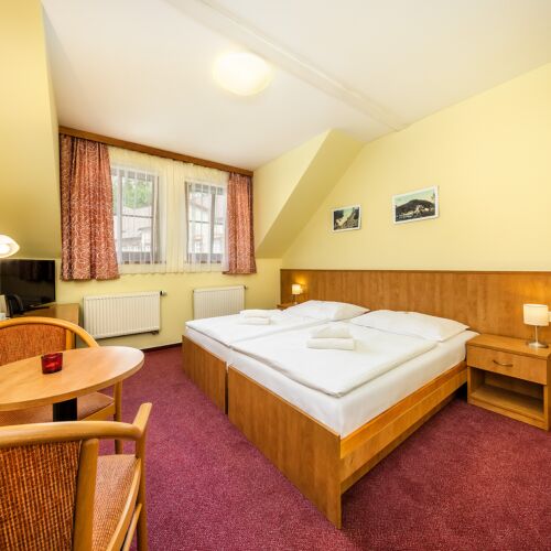 Camera twin cu duș (se poate solicita pat suplimentar)