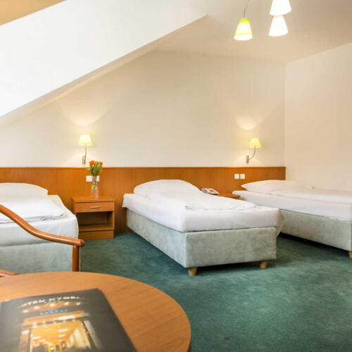 Pokój 3-osobowy z prysznicem