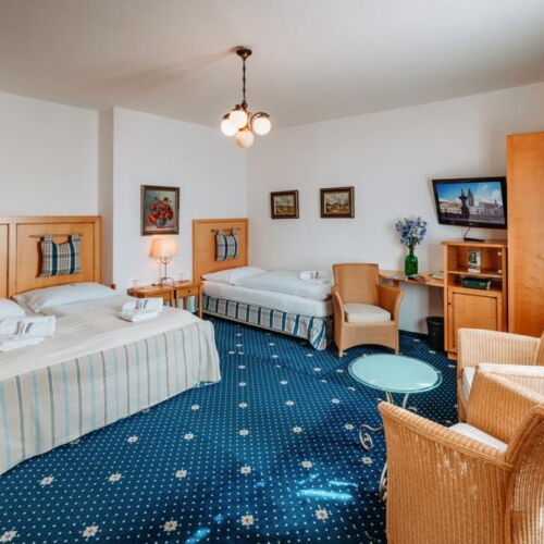 Pokoj se sprchou  pro 3 os.