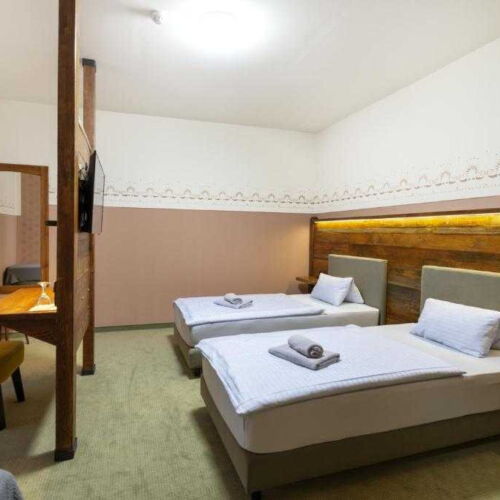 Pokoj se sprchou se společnou kuchyňkou pro 2 os. (s možností přistýlky)