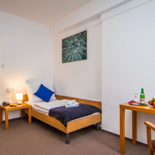 Superior Single Room with Shower