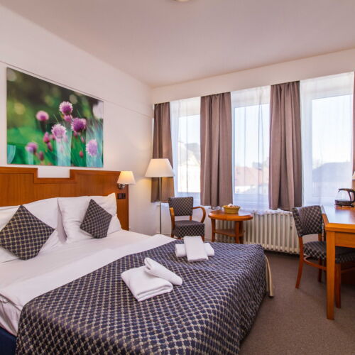 Standard Double Room with Shower