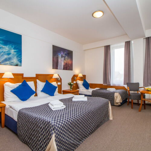 Superior Triple Room with Shower