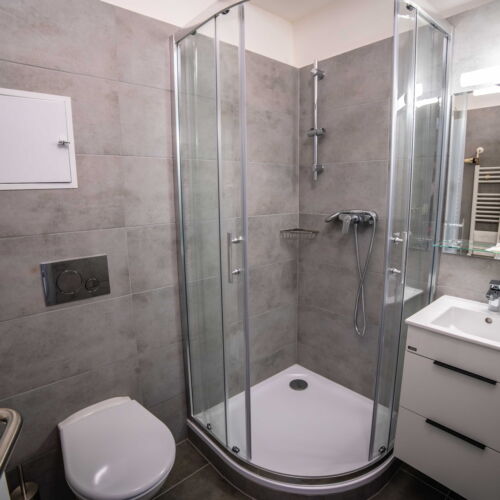 Pokoj se sprchou  pro 2 os. (s možností přistýlky)