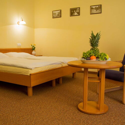 Superior Pokoj se sprchou pro 2 os.