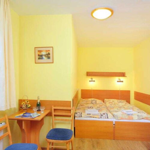 Pokoj se sprchou  s manželskou postelí