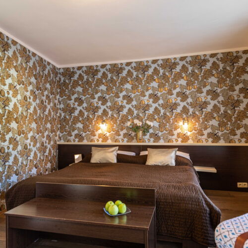 Camera dubla lCD TV cu duș (se poate solicita pat suplimentar)