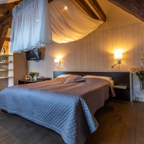 Camera twin cu duș cu terasă (se poate solicita pat suplimentar)