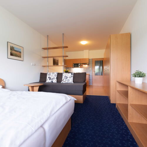 Apartman se sprchou s vlastní kuchyňkou pro 3 os. s 1 ložnicí (s možností přistýlky)