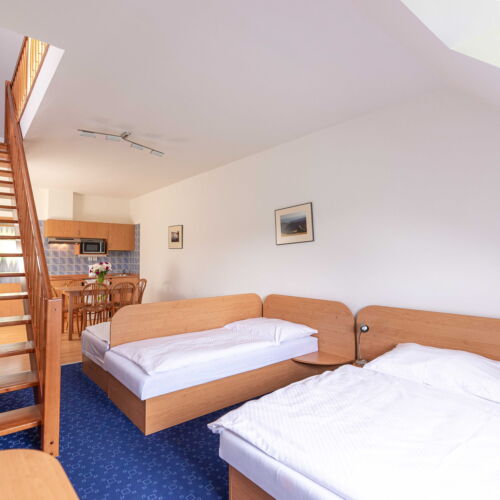 Apartman se sprchou s vlastní kuchyňkou pro 6 os. s 1 ložnicí (s možností přistýlky)