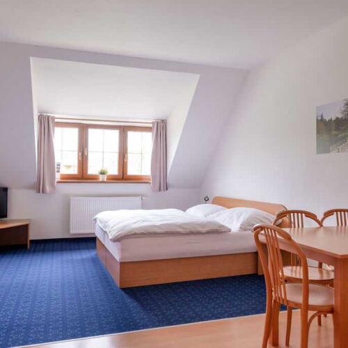 Apartman se sprchou s vlastní kuchyňkou pro 4 os. s 1 ložnicí