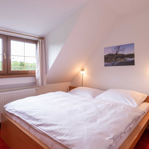 Deluxe Apartman s vlastní kuchyňkou s manželskou postelí s 1 ložnicí (s možností přistýlky)