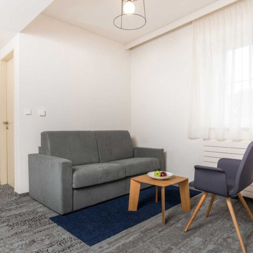 Apartament 2-osobowy z klimatyzacją z prysznicem z 1 pomieszczeniem sypialnianym (możliwa dostawka)