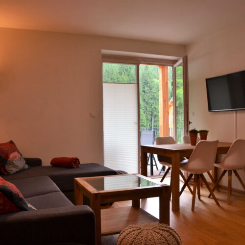 Studio Apartman se sprchou pro 2 os. (s možností přistýlky)